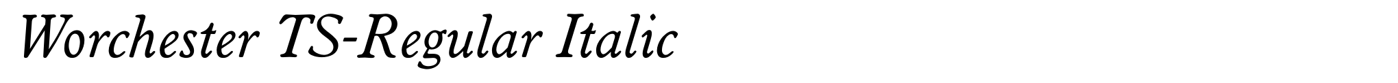 Worchester TS-Regular Italic image